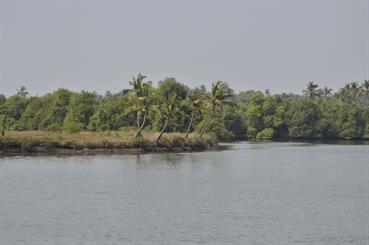 01 River_Sal_Cruise,_Goa_DSC7032_b_H600